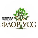 Аватар канала 1338311667