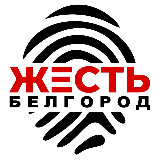 Аватарка канала Жесть Белгород