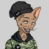 Аватарка канала WILSON SPACE