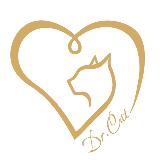 Аватарка канала Dr_cat