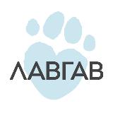 Аватарка канала Школа ЛавГав | Всё о Псё