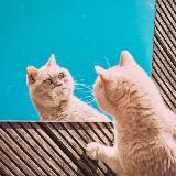 Аватар канала 2026779799