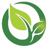 Аватарка канала Зелёная Повестка | Электромобили