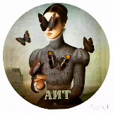 🦋 Библиотека АИТ avatar