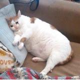 Аватарка канала TikTok Collection💎