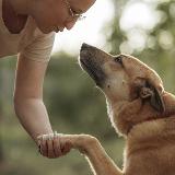 Аватар канала 2119111667