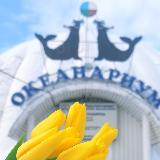 Аватарка канала Мурманский океанариум