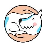 Аватарка канала Школа Pi-Bo | Дрессировка и воспитание собак