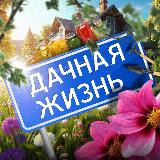 Аватарка канала Дачная жизнь