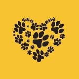 Аватар канала 1756581483