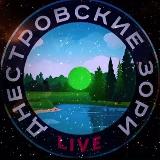 Аватарка канала ДНЕСТРОВСКИЕ ЗОРИ LIVE