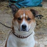 Аватарка канала Будни Ковчега