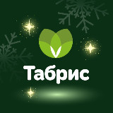 Новости Табрис avatar