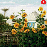 Аватарка канала Огород и дача - большая удача!