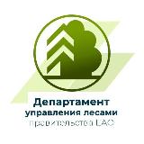 Аватарка канала Департамент управления лесами Правительства Еврейской автономной области