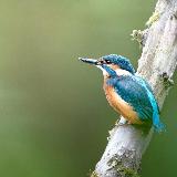 Аватарка канала Отморозок у реки