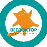 Аватарка канала ВЕТДОКТОР ветеринарная клиника
