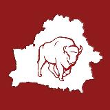 Аватарка канала Белновости