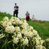 Аватарка канала ОТДЫХ, ЭКСКУРСИИ, ПОЕЗДКИ