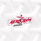 Аватарка канала Aero Gym Borisova