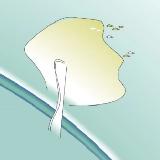 Аватарка канала PANGEA _FERMA🌿