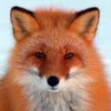 Аватар канала 1209191667