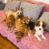 Аватарка канала Хлебобулочный канал