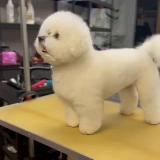 Аватар канала 1462377658