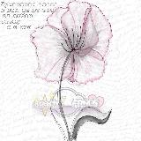 Аватарка канала 🍥 GACHA FRIENDSHIP || Гача знакомства 🌸 ГАЧА ИЩУ ДРУЗЕЙ ПАРУ 🤍