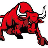 Аватарка канала Finobulls Intraday Bulls™(ORGINAL)