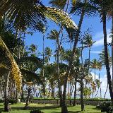 Аватарка канала Remote IT (Inflow)