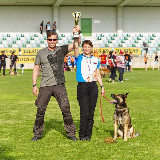 Аватарка канала Школа бесконфликтной дрессировки собак