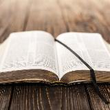 Аватар канала 2532594139