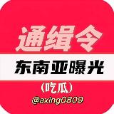 Аватарка канала 东南亚曝光通缉令