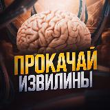 Аватарка канала Прокачай извилины!