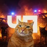 Аватарка канала ЧП АРМАВИР | Михаил Соколов