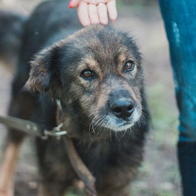 Аватар канала 1793678338