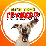 Аватарка канала Ты ЧО такой ГРУМЕР ⁉️