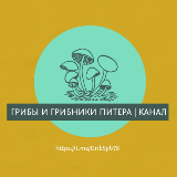 Аватарка канала 🌲 Грибы и Грибники Питера / Спб / Карелии / Лен. Области (Отчеты)