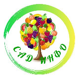 Аватарка канала САД - ИНФО