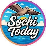 Аватарка канала Sochi Today 🌀
