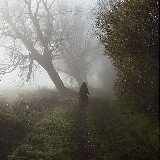 Аватарка канала Хижина в туманном лесу