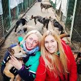 Аватарка канала Приют Некрасовка 10 сектор