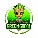 Аватарка канала Комнатные растения 🪴Отправка по Росси