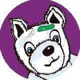 Аватарка канала ЭкоВолк