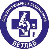 Аватарка канала Сеть ветеринарных лабораторий «ВЕТЛАБ»