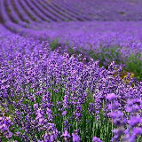 Аватарка канала Красивые места Юга России