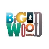 Аватарка канала Курорт Большой Вудъявр | BigWood ski resort