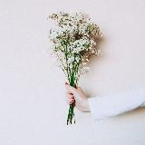 Аватарка канала Век Новейшей Поэзии | Стихи