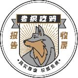 成都老狼修车报告 avatar